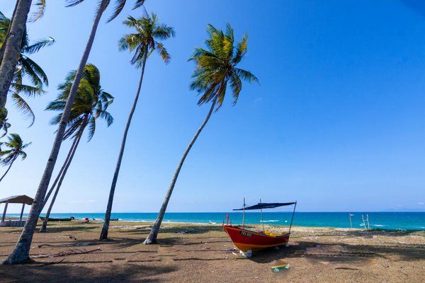 Explore budget-friendly cycling trails in the breathtaking peak district: your complete guide to affordable adventures!